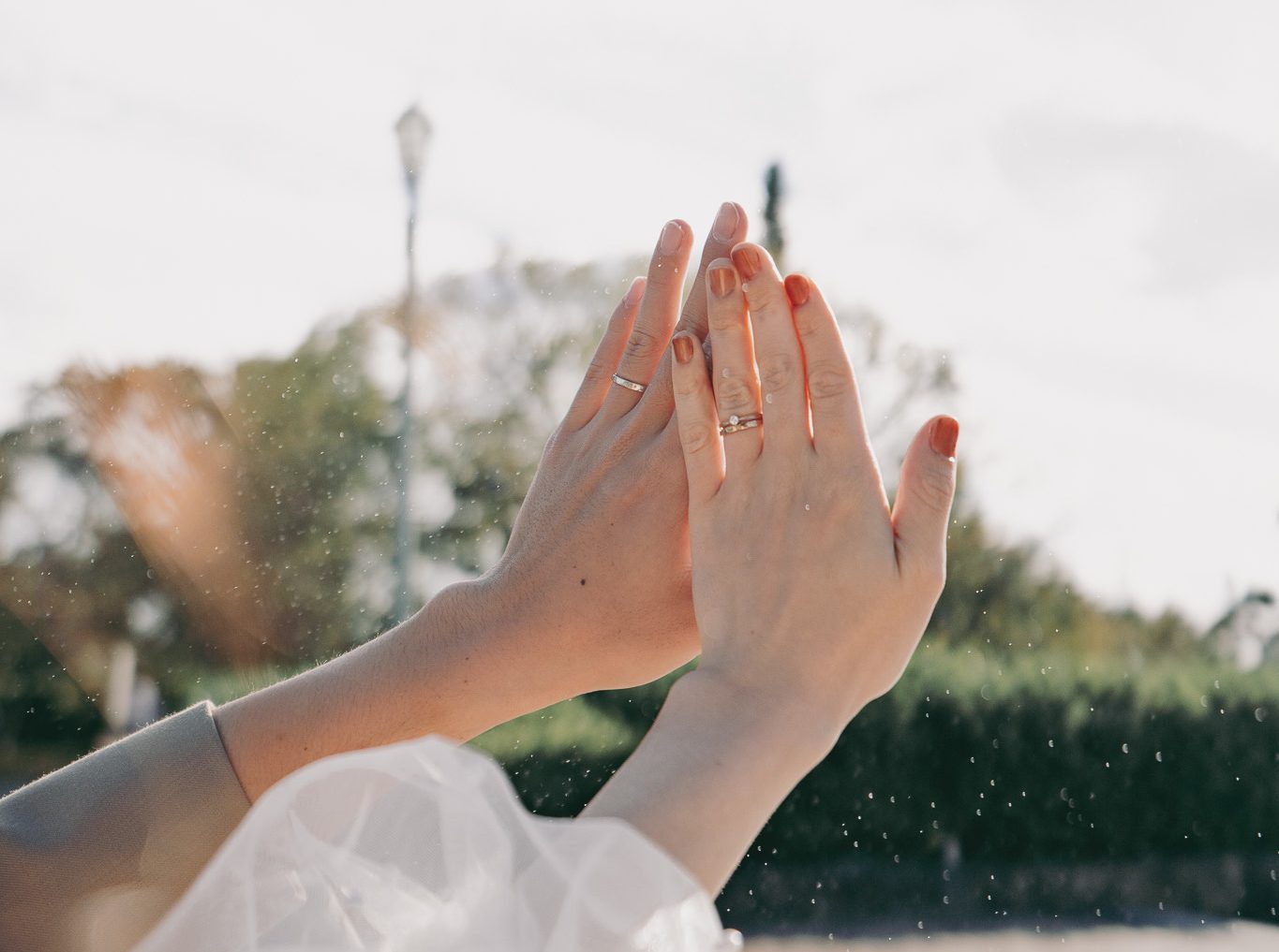 ノーマルプラン