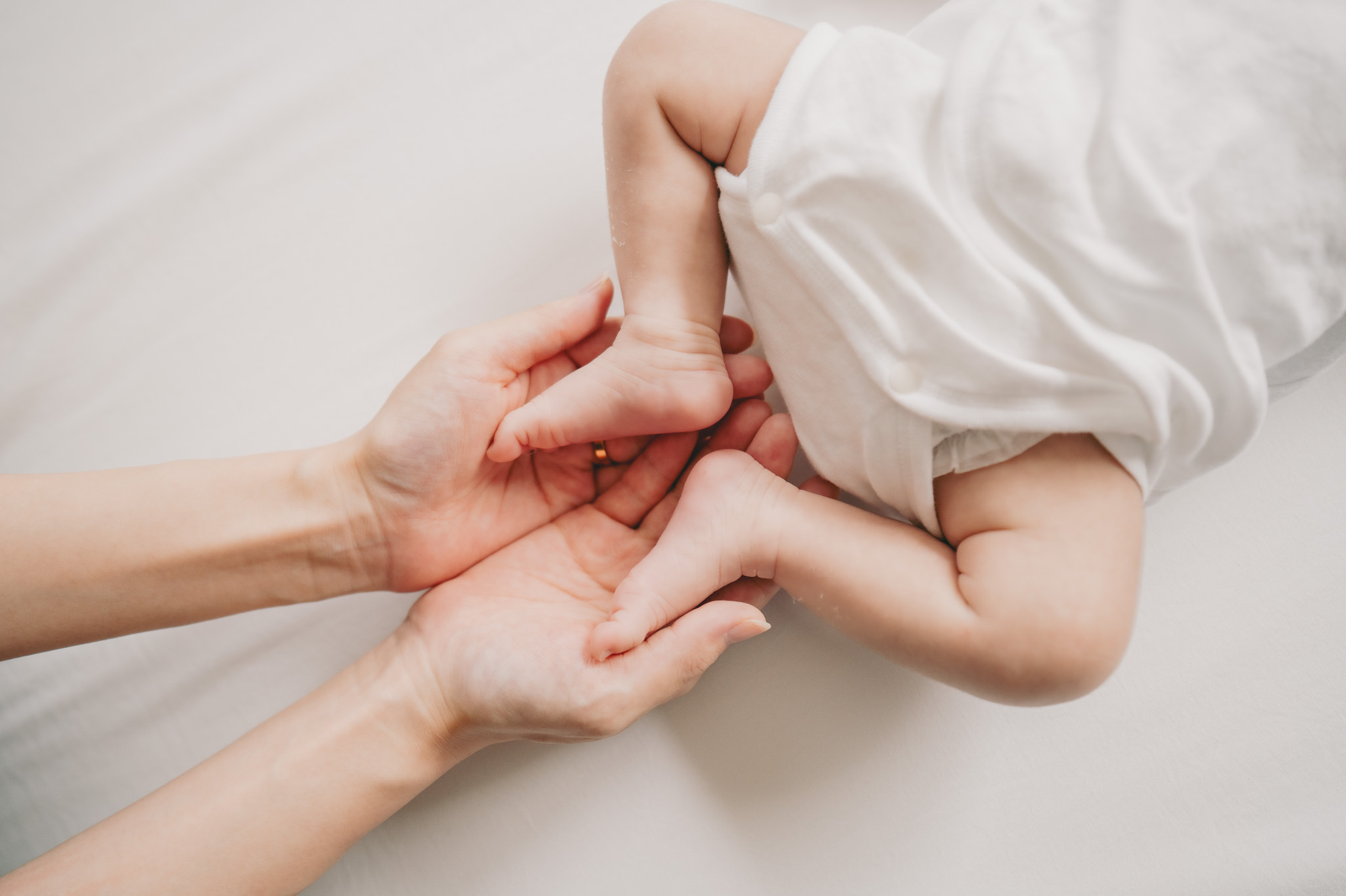 スペシャルプラン