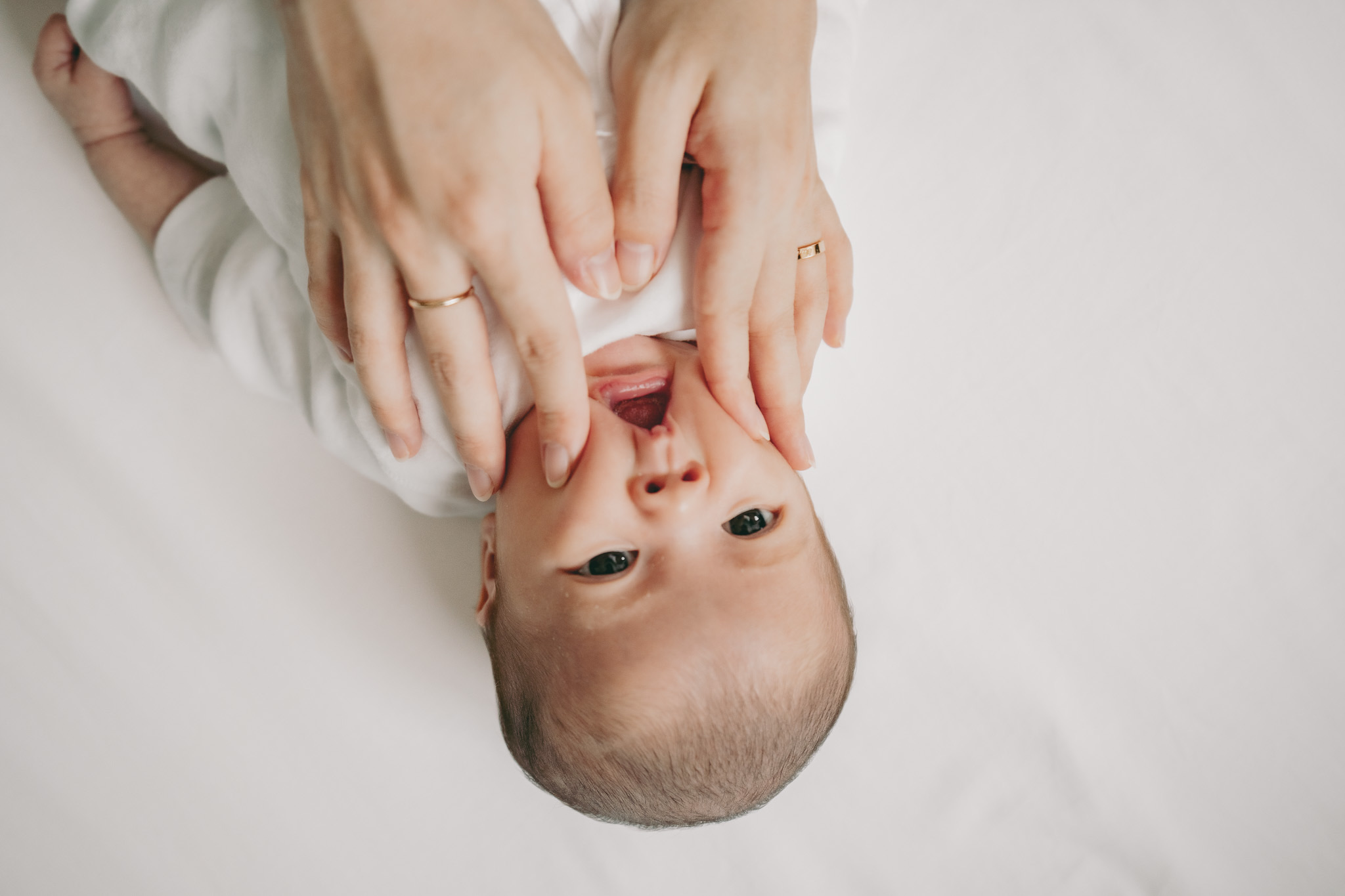 シンプルプラン