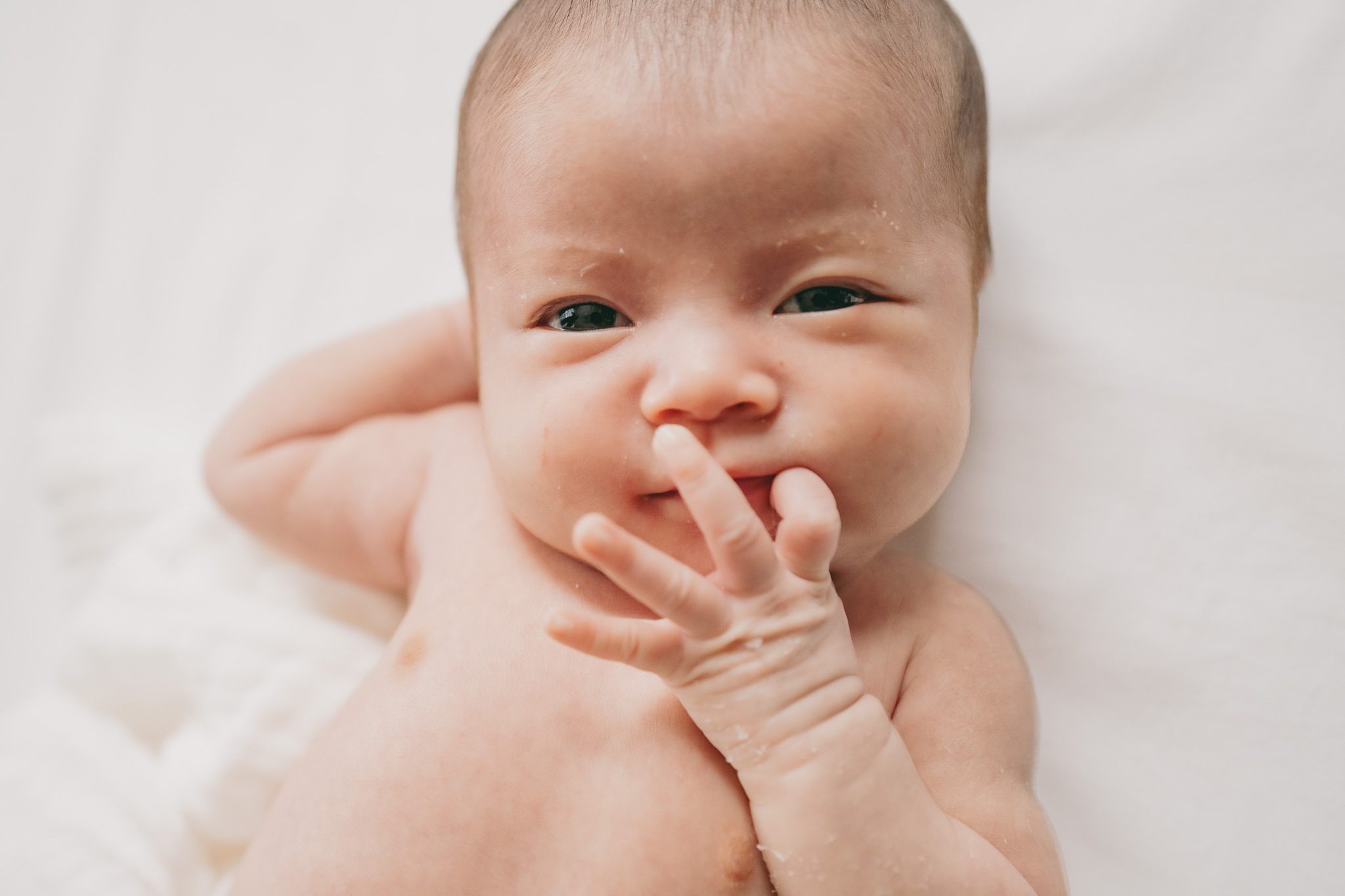 ノーマルプラン