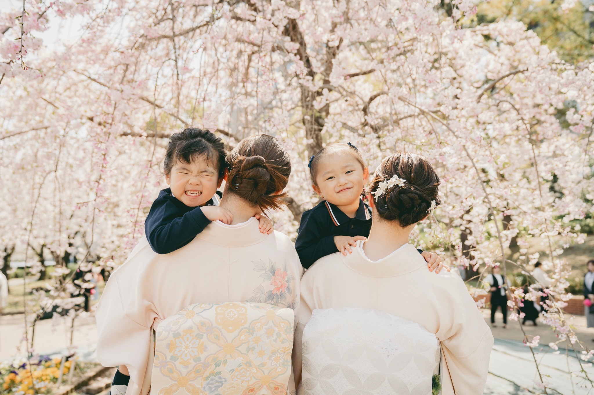 シンプルプラン