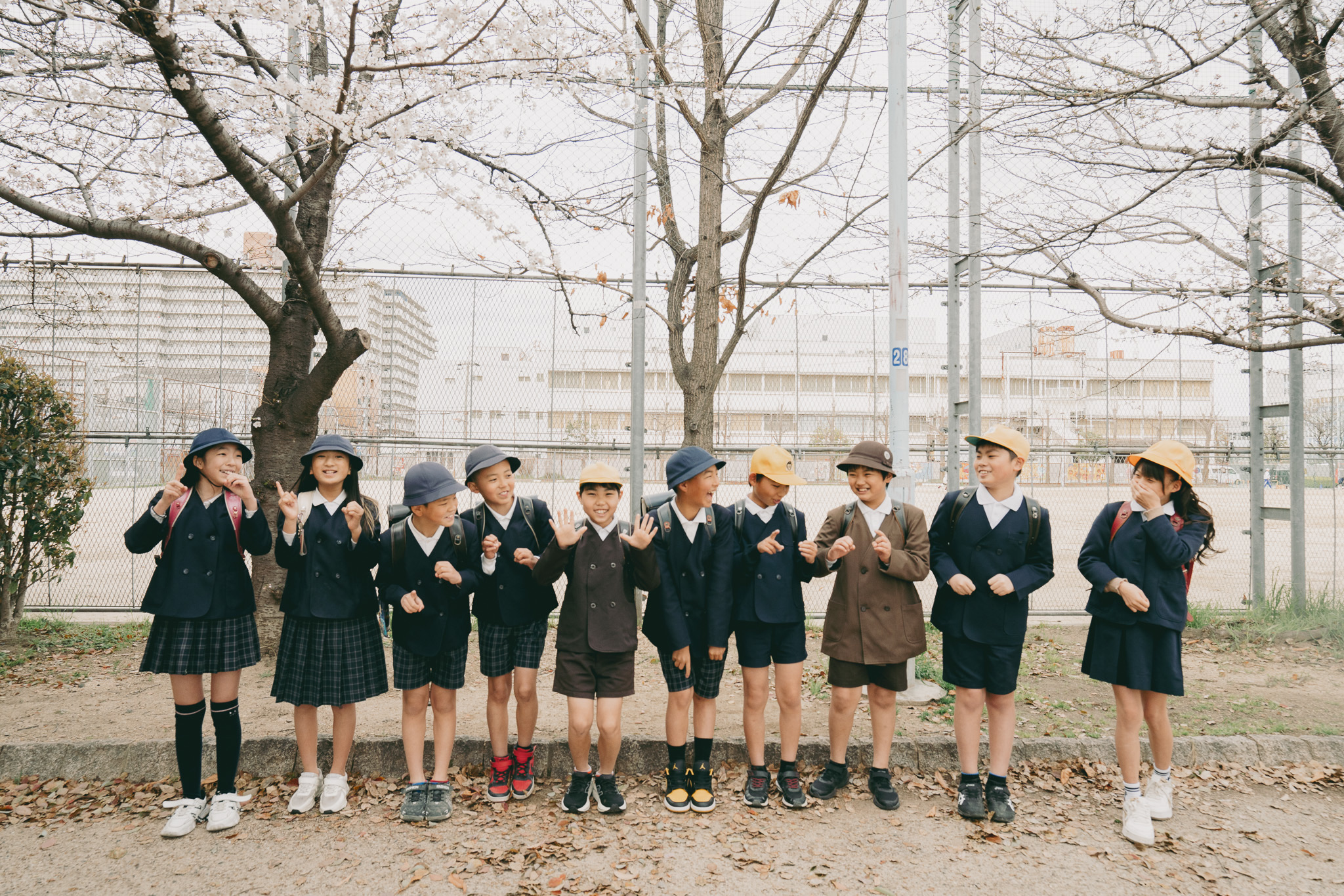 スペシャルプラン