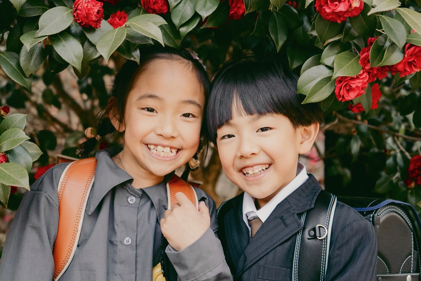 ノーマルプラン